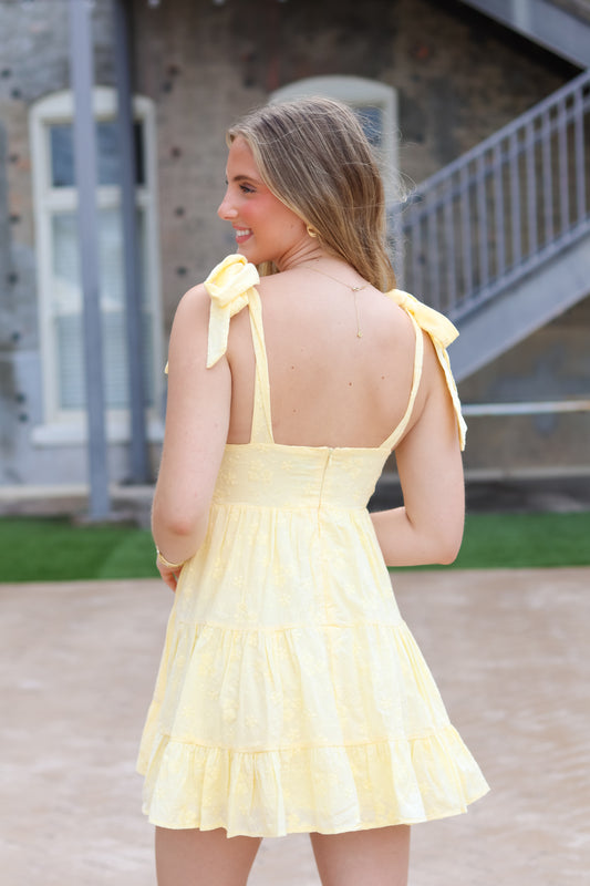 Mila Floral Embroidered Mini Dress