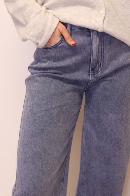 Aria Wide Leg Denim Pants