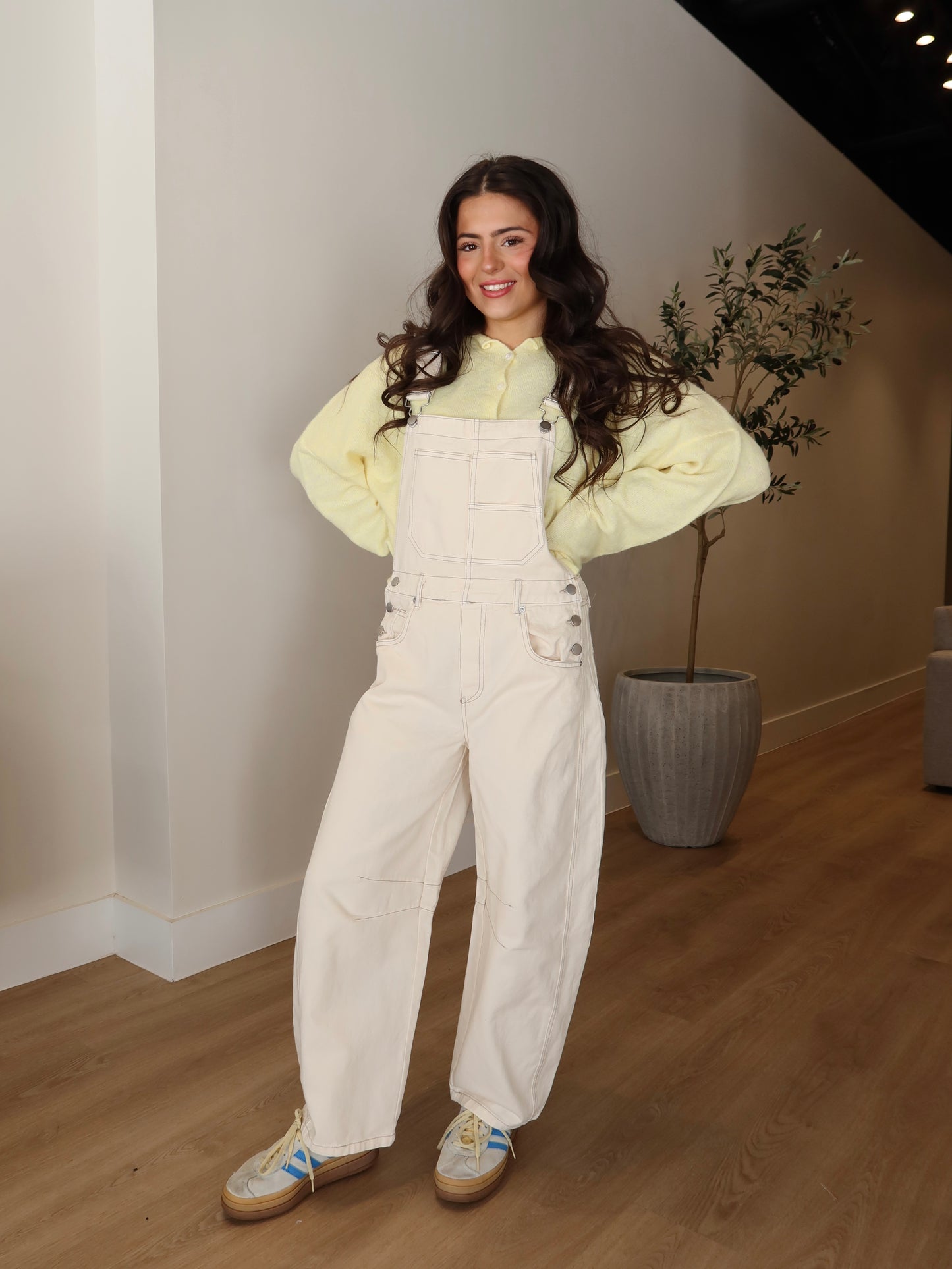 Ari Wide Leg Barrel Overalls