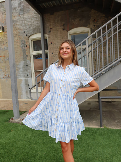 Flower Girl Striped Shirt Dress