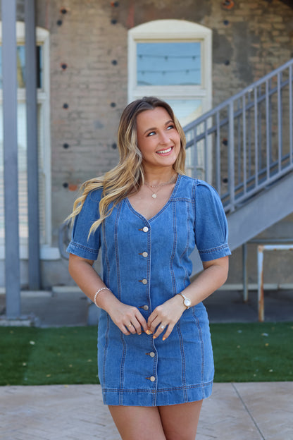 Loretta Denim Mini Dress
