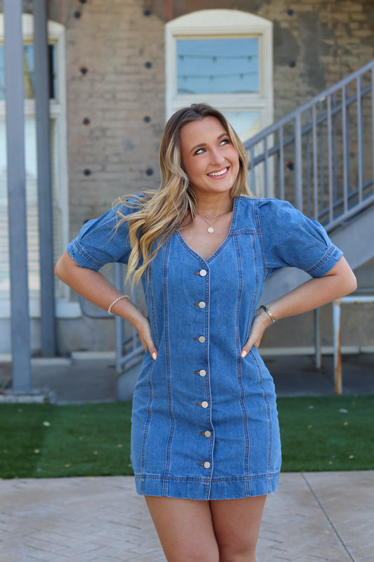 Loretta Denim Mini Dress