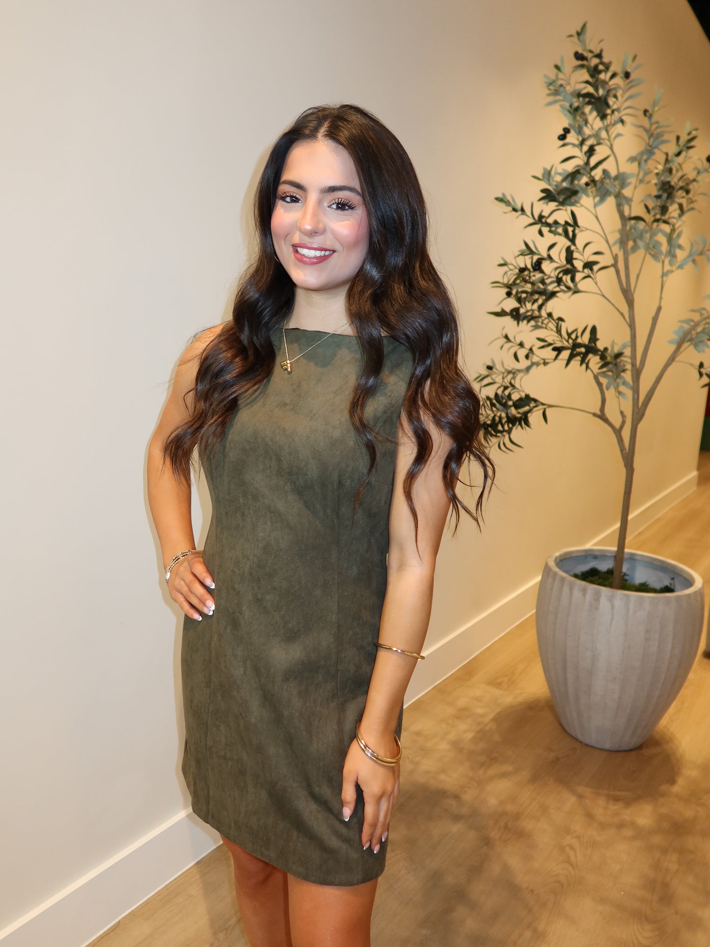 Louisa Velvet Mini Dress